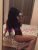 Beylikdüzü Güzel escort Burçe - Image 6 Beylikdüzü Güzel escort Burçe - Image 6