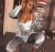 escort-bayan-5-6-500x469 escort-bayan-5-6-500x469