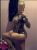 Beylikdüzü Sınırsız Escort Bayan Gamze - Image 2 Beylikdüzü Sınırsız Escort Bayan Gamze - Image 2